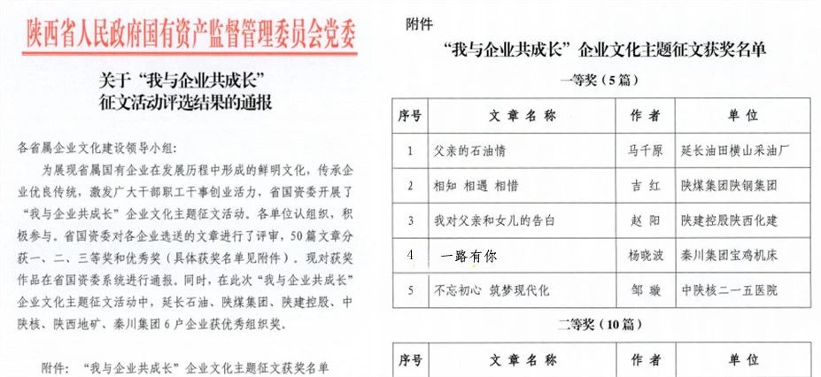 【集团资讯】集团企业文化征文获多项殊荣