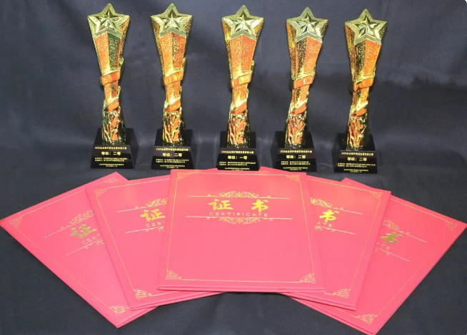 【喜讯】2025精益改善大赛斩获多项殊荣!